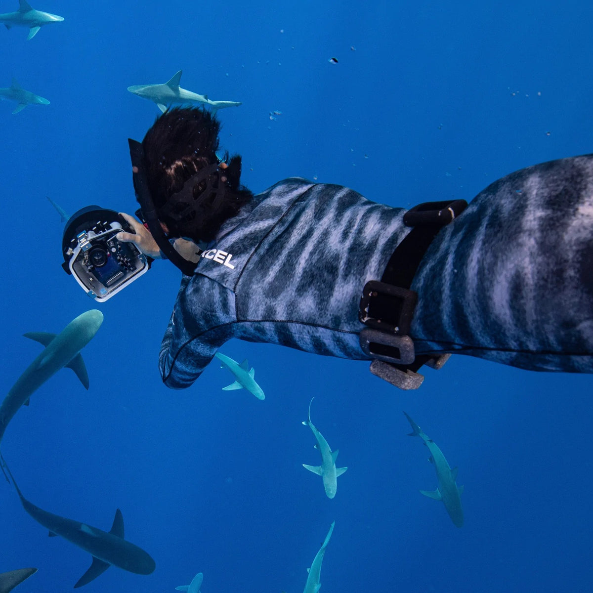 XCEL Wetsuits Lost Winds Dive Shop