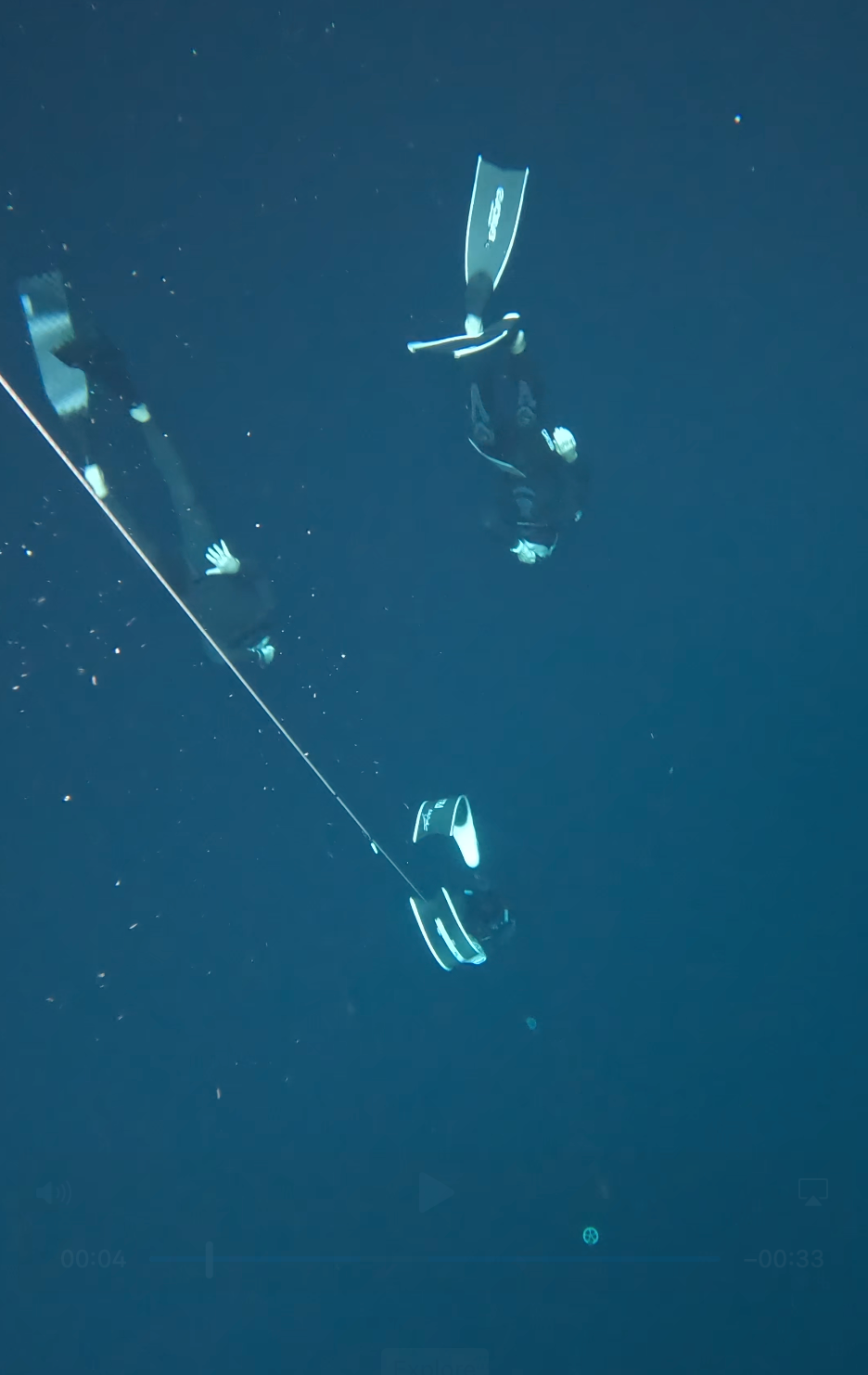 PADI Master Freediver Course — Catalina Island - Level 3