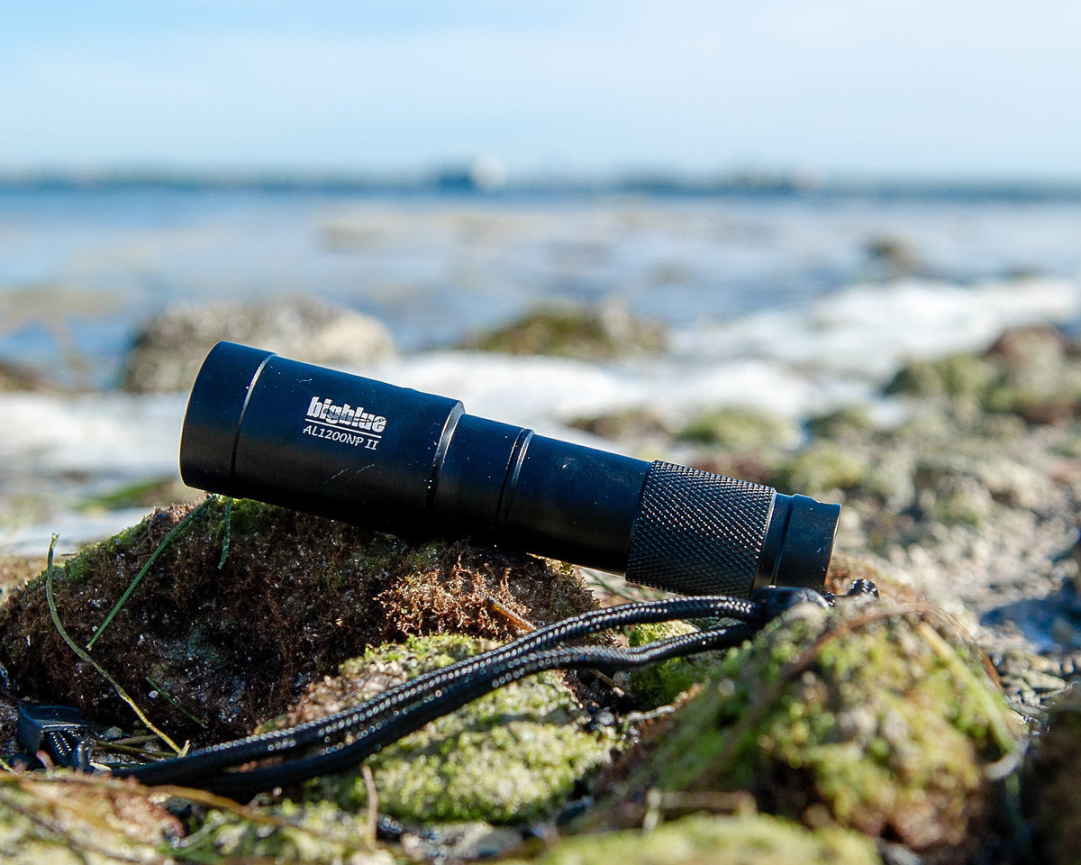 Big Blue 1300-Lumen Narrow Beam