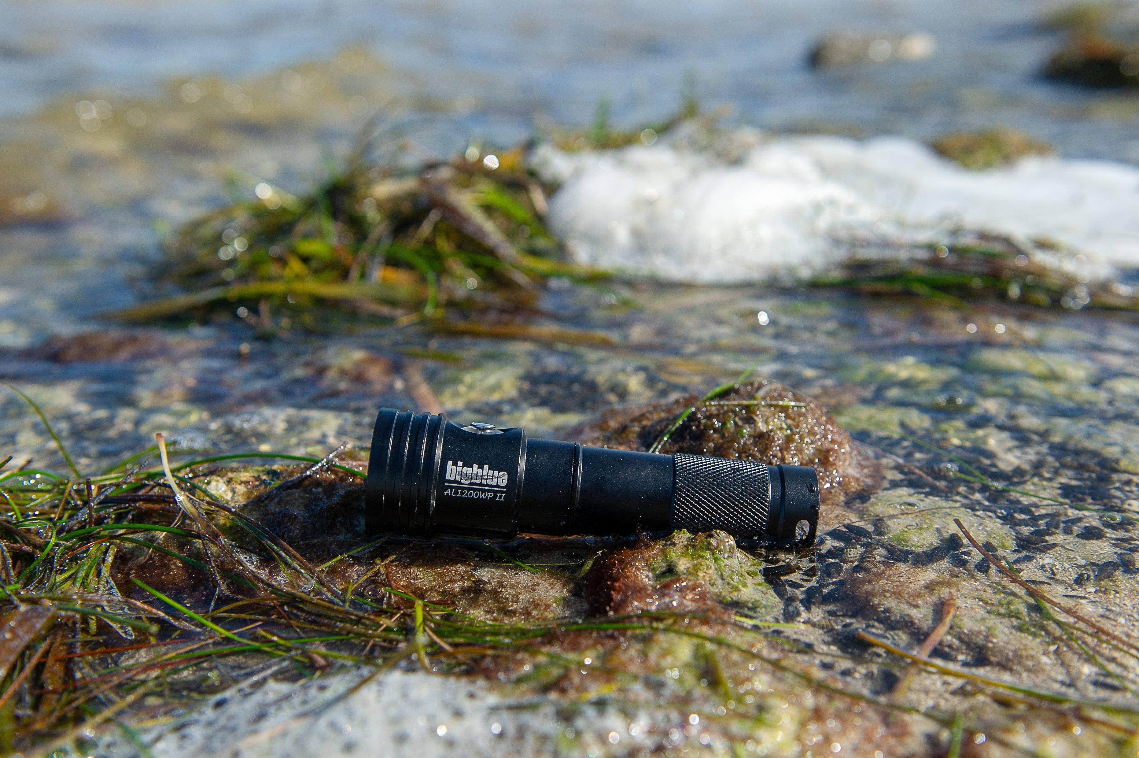 Big Blue 1300-Lumen Wide Beam