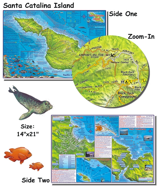 Catalina Island Dive Map