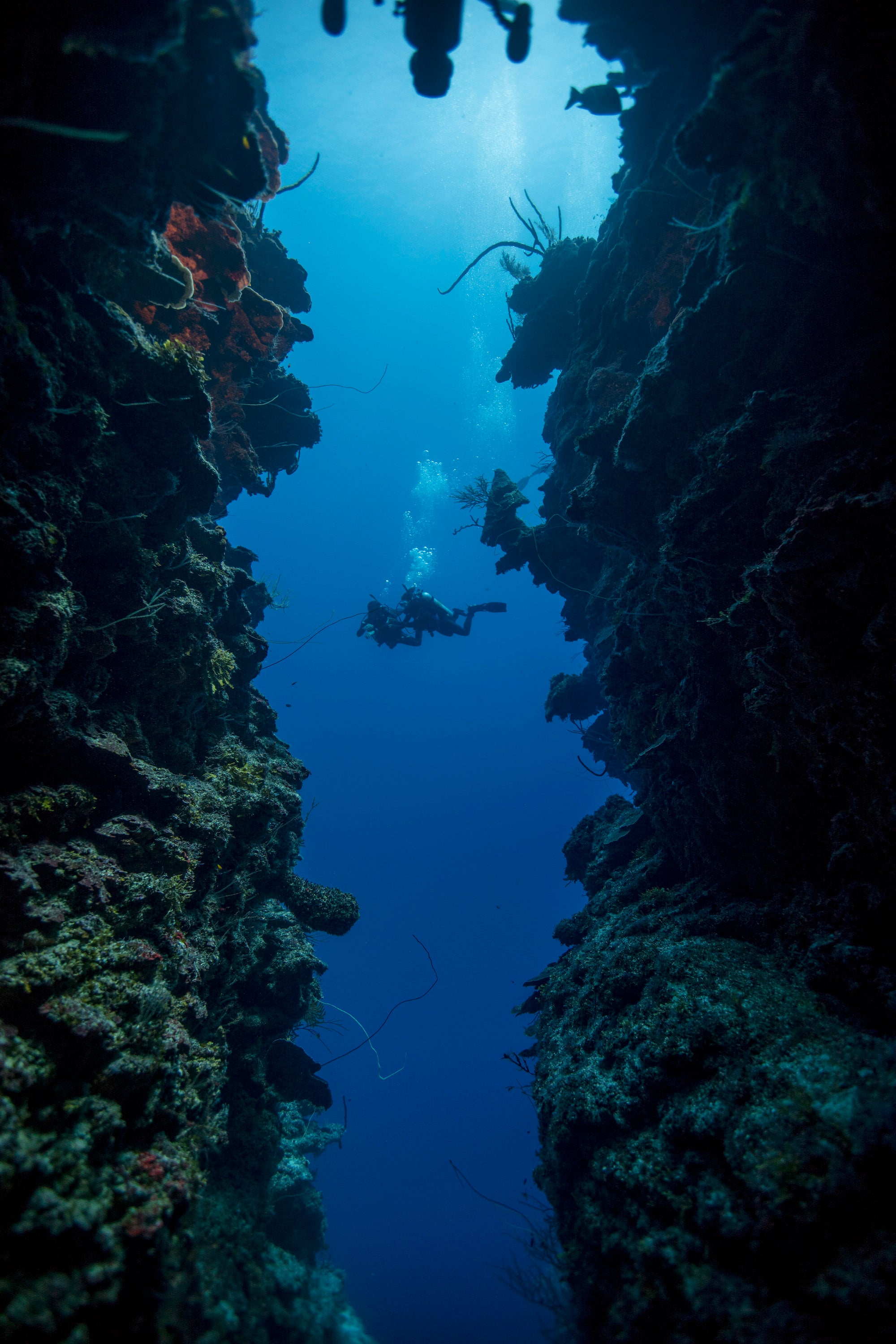 PADI Open Water Diver Course