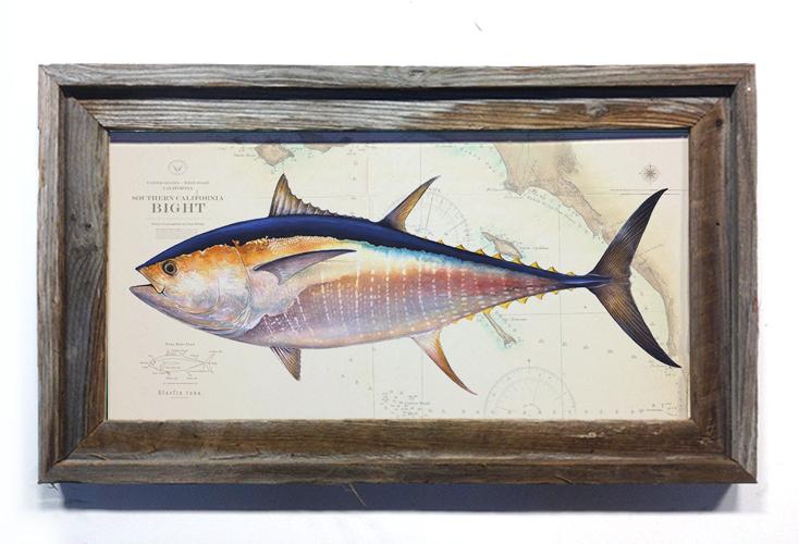 Abachar Studio Bluefin Over Chart