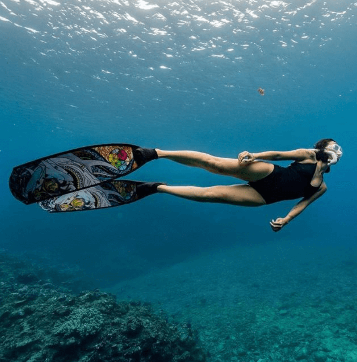 DiveR Sharks Long Blade Fins