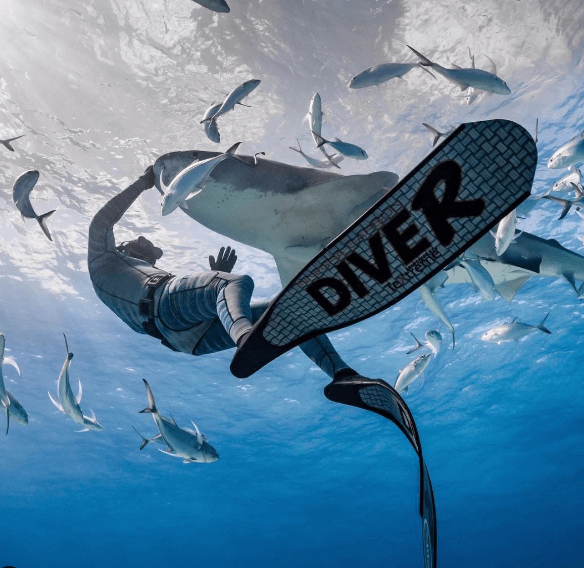 DiveR Grey Fiber Long Blade Fins