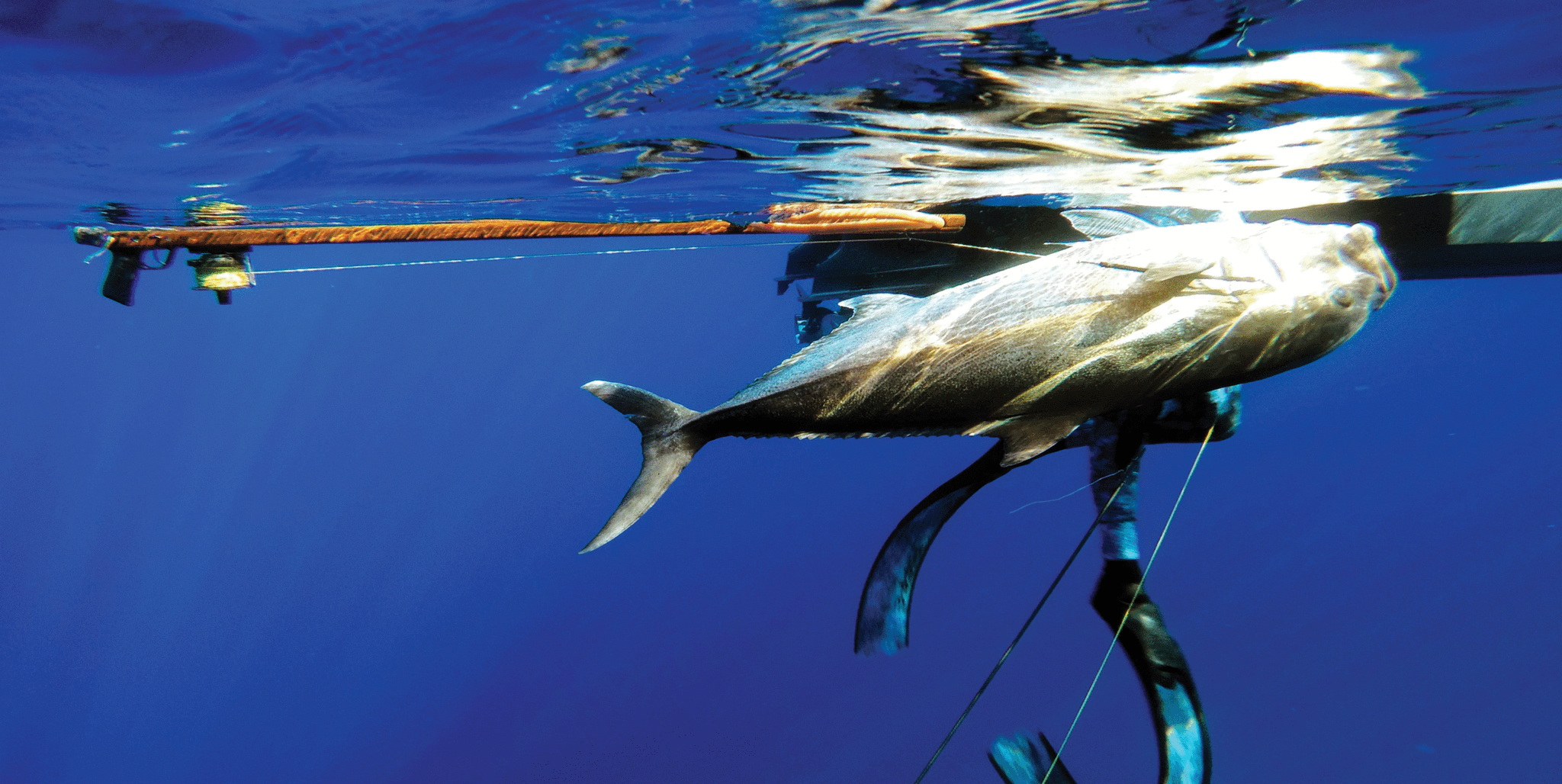 Riffe Euro Series Speargun - Action Shot