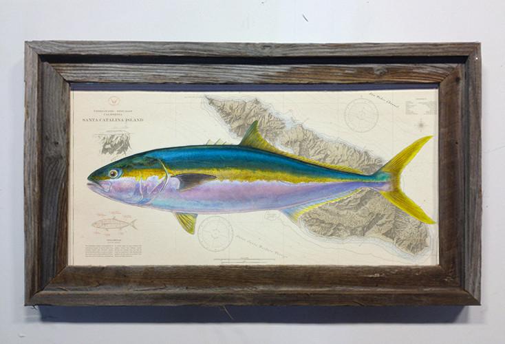 Studio Abachar Yellowtail Over Chart
