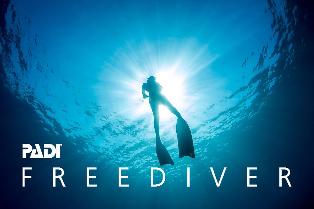 Freedive Courses
