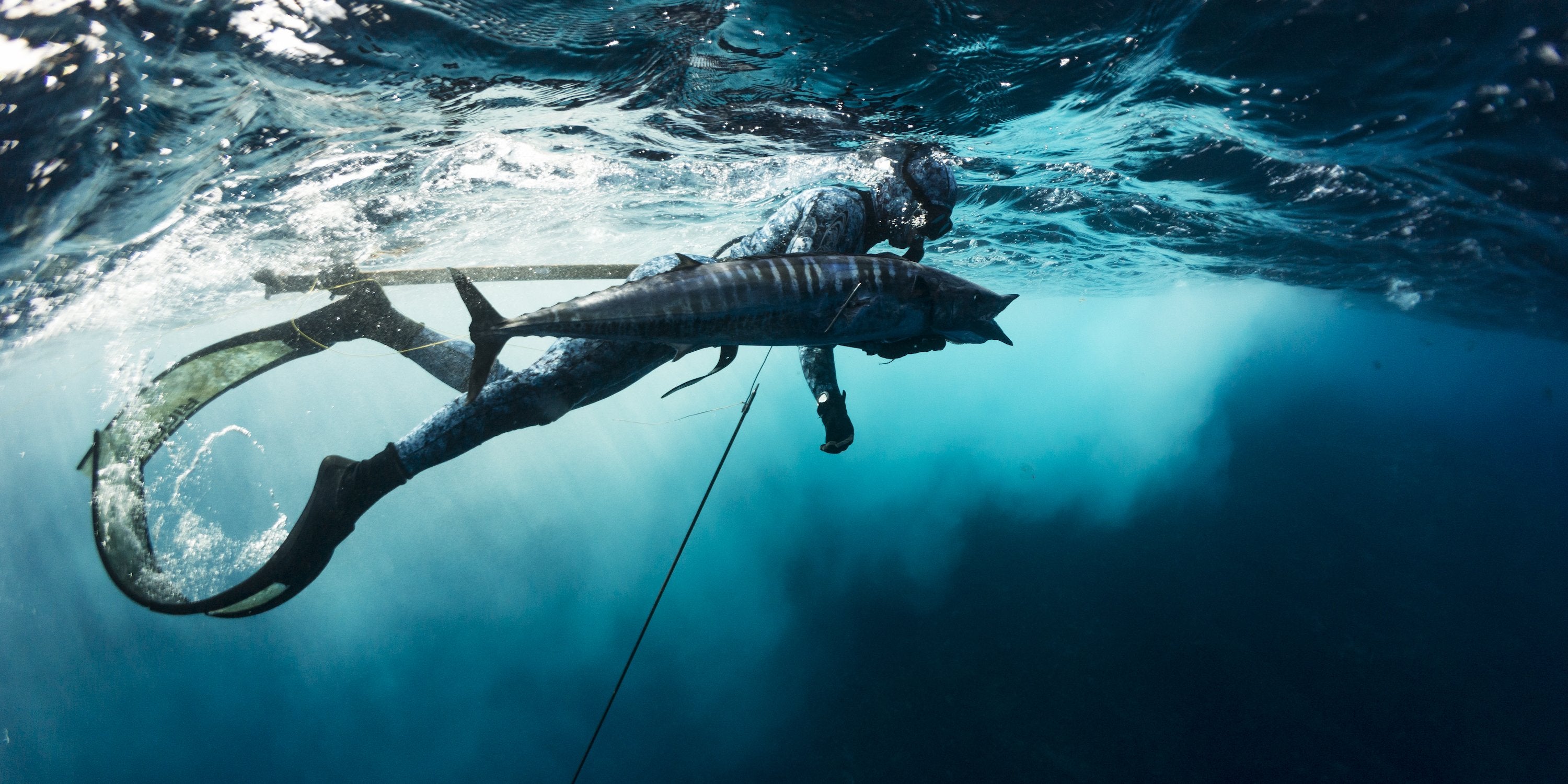 Wahoo Spearfishing Gear