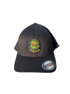 CA STATE PARKS Fitted Hat