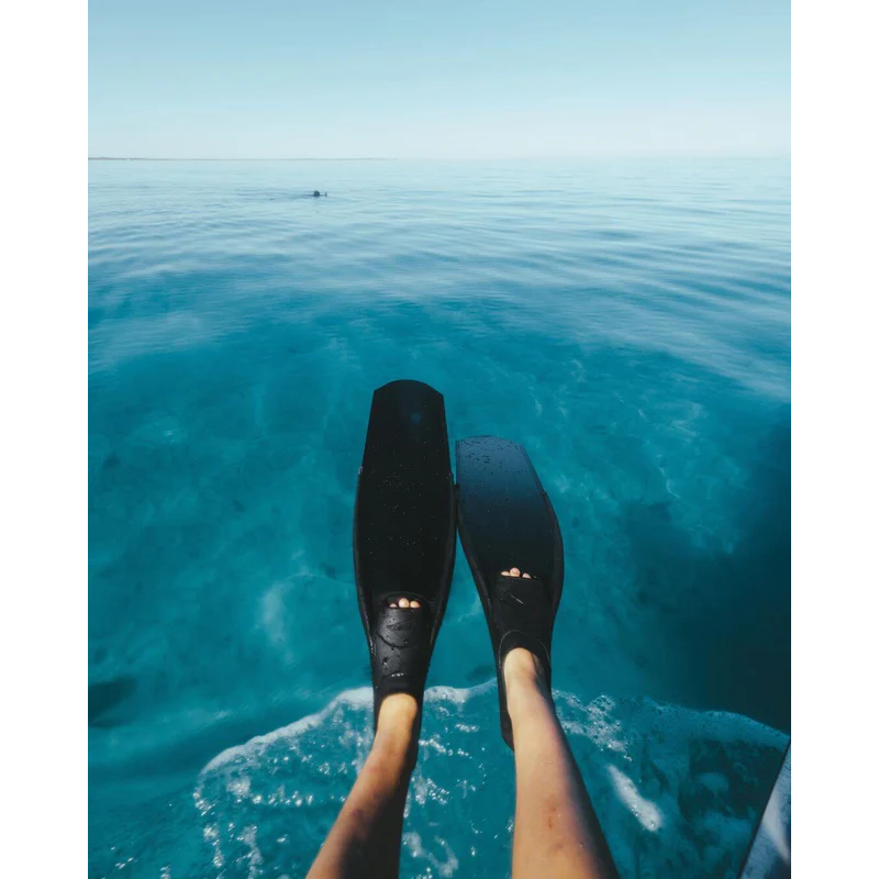 DiveR Stealth Black Long Blade Fins