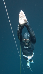 PADI Freedive Course — Level 1