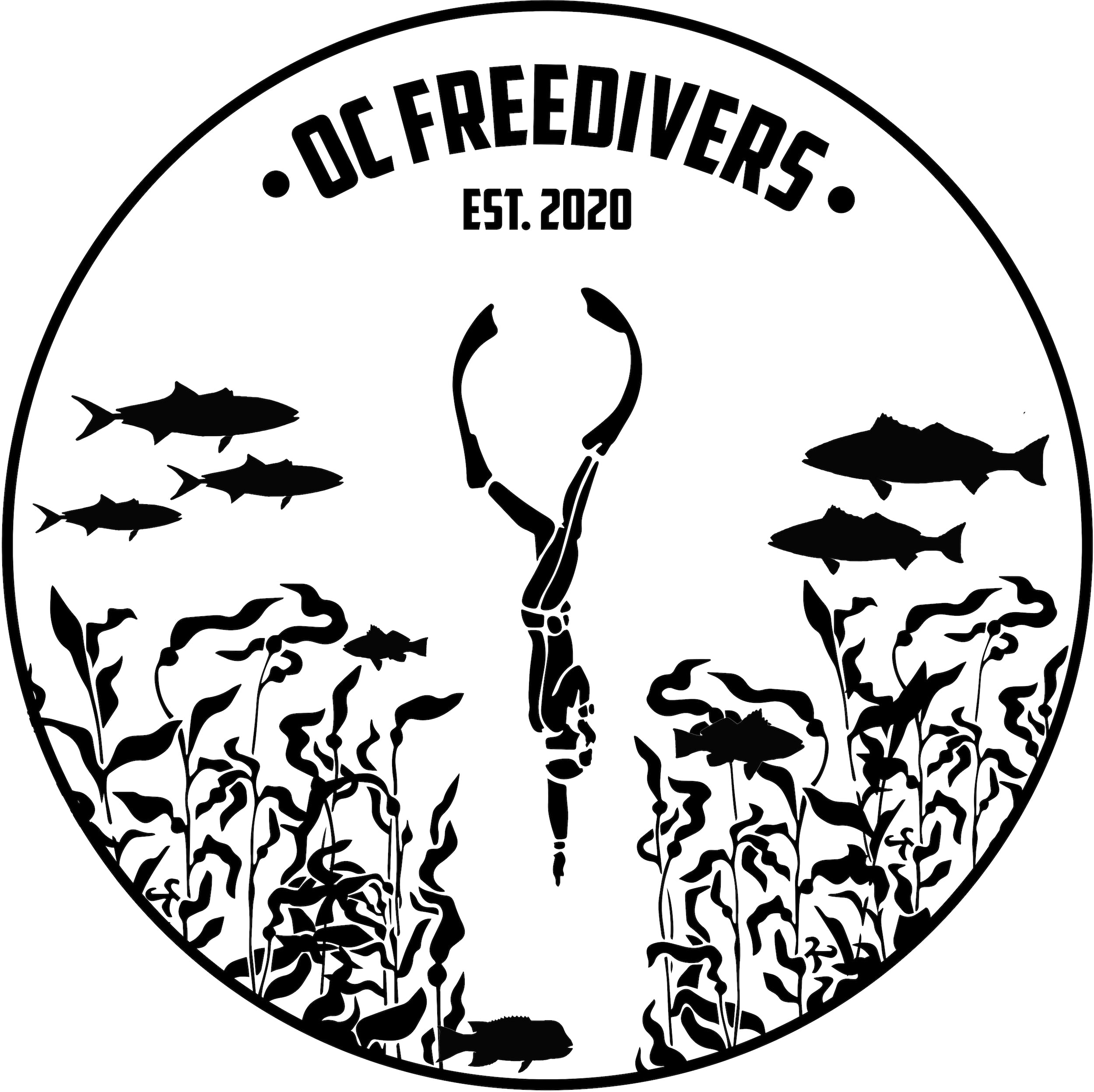 OC Freedivers Club Membership