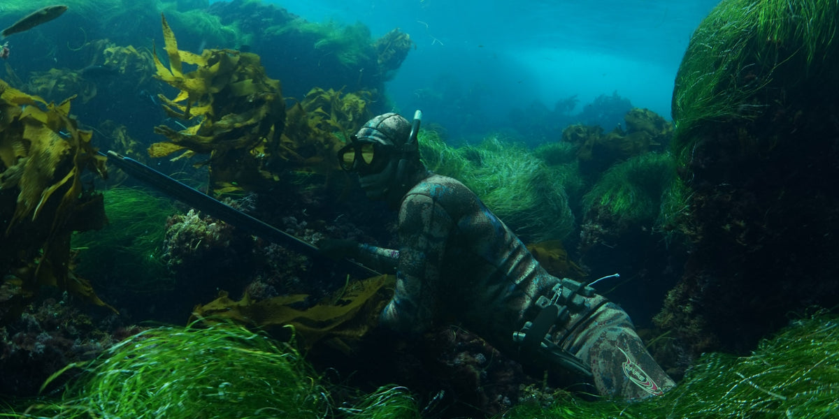 Lost Winds Dive Shop - Spearfishing, Freediving, Scuba Diving