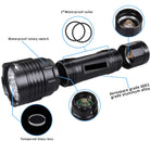 Lost Winds Dive Light