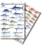 Pacific Coast Gamefish Identification Card