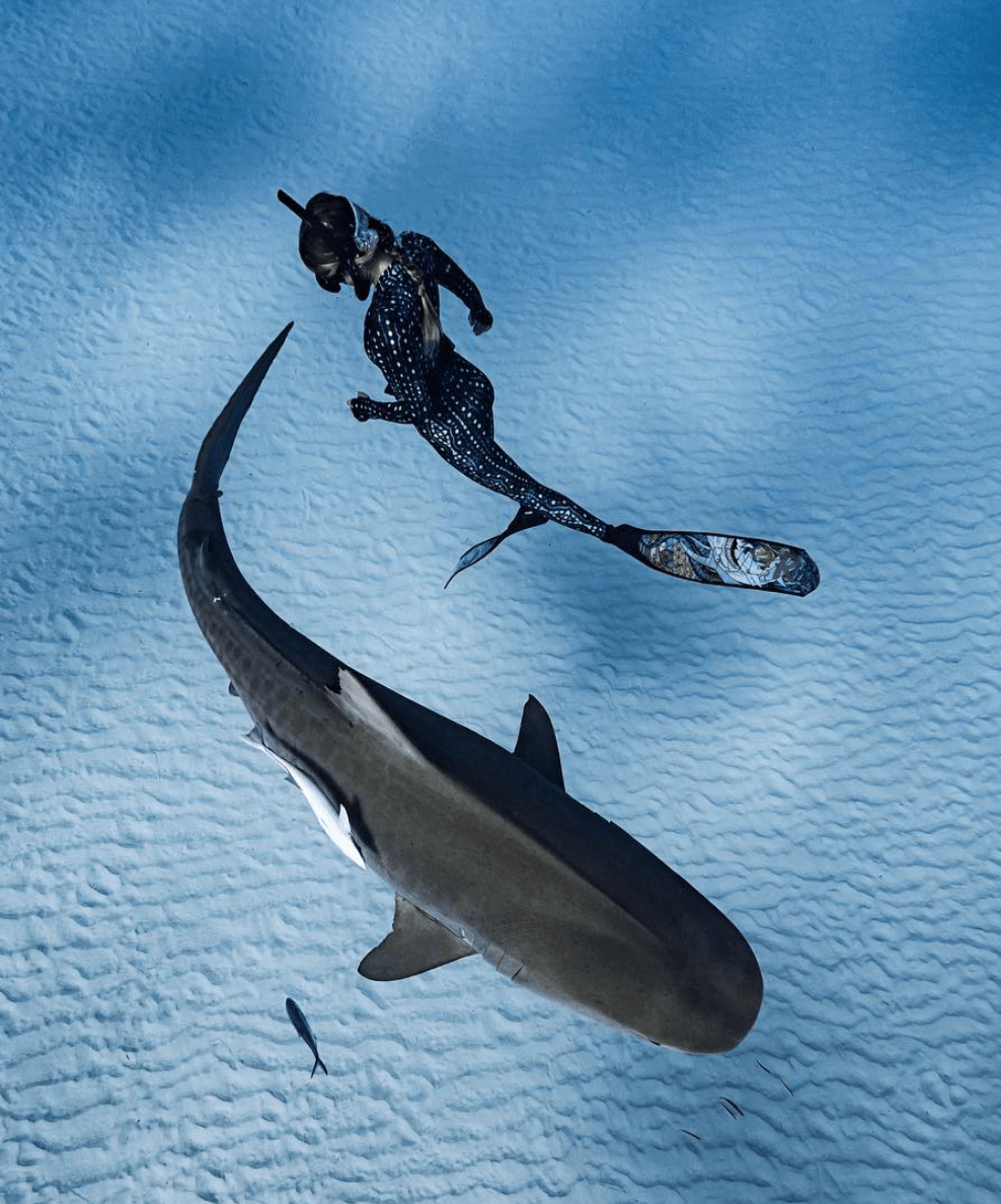 DiveR Sharks Long Blade Fins